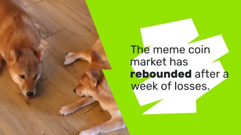 This Week in Meme Coins: SHIB and BONK Gain, WIF Struggles