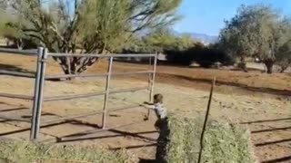 Kiddo Learns Lesson on Why Not to Run While Pushing a Gate