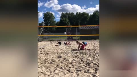 Dog playing volleyball great video