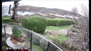 Saint Mary's cove Brixham and bird feeder