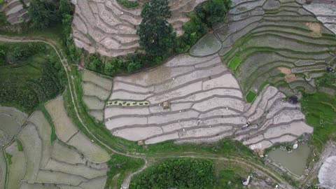 Agricultural Field Nepal Nuwakot