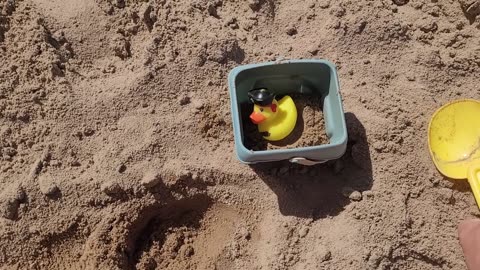 Sandcastles in the Park