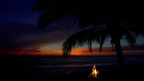Fire and ocean waves sounds relaxation video for sleeping no music ｜ 4K virtual campfire by the sea