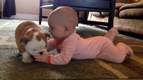 beautiful Baby with dog