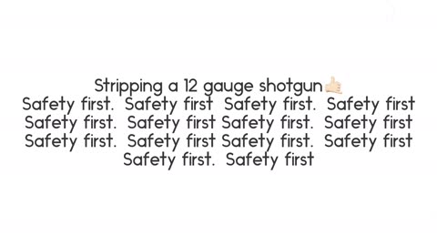 Stripping a 12 gauge shotgun