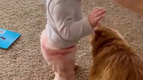 Baby&cat#Funny_Cute_Cat_Videos_2023_#shorts_#youtubeshorts_#ytshorts_@boxtoxtv_@awwanimals