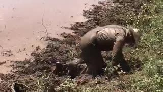 Man Takes Mud Bath on Horseback