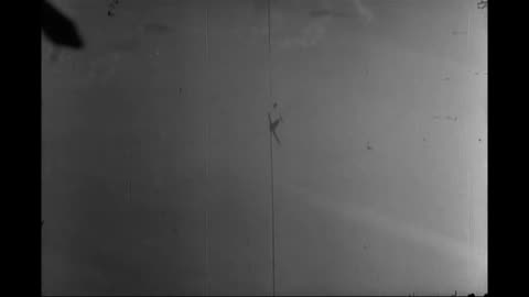 Planes Head On - Dogfight - Pilot Bailout #ww2 #airfighters #history #bailout #parachute