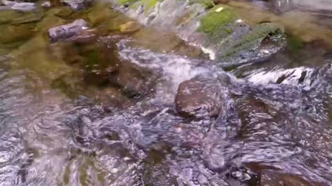 Relaxing River Sounds, Peaceful Forest River, Deep Sleep Solution, Nature Video Water Sound, dvk