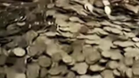 Man Buys New Scooter Entirely in Coins #Shorts