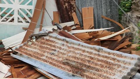 Building construction materials damage