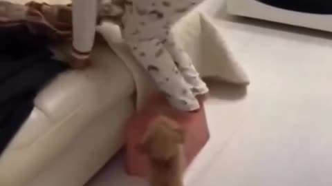 "Harmony in the Making: Baby Training Pet"