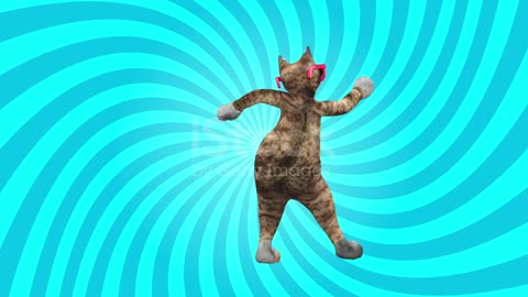 Cat dance videos