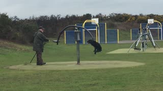 Older Gentleman Pushing Dog on Spinning Seesaw