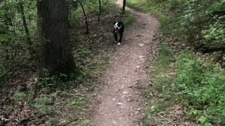 Trail Build: Chubb Trail, STL MO