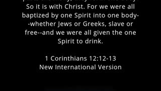 ✝️ Today's Bible Verse 1 Corinthians 12:12-13
