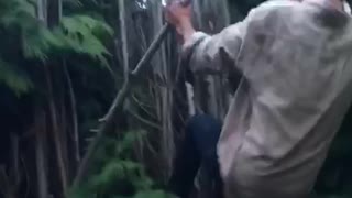 White shirt tries to climb bamboo fence breaks it and falls
