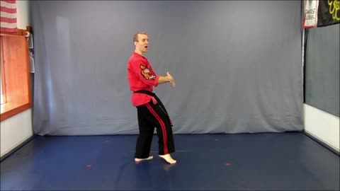 Basic Skillz Brown Belt - Red Stripe