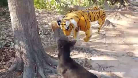 Fake Tiger Prank Dog Run , Try To Stop Laugh Challenge 2021