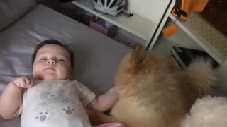 Cute puppy loves his baby sister