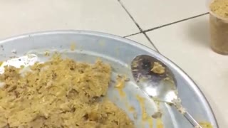 Cat's fast food competition