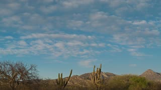 Clouds travel along the blue sky in the presence of cactus and the mountains in the background