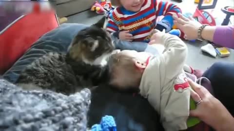 Cats and Dogs with loving baby