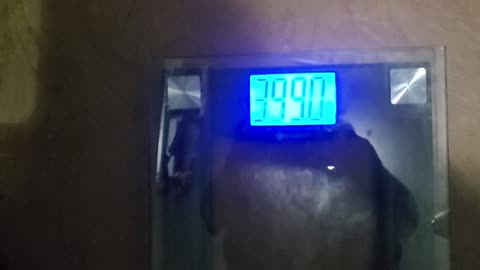 Weigh-In Nov 19, 2023