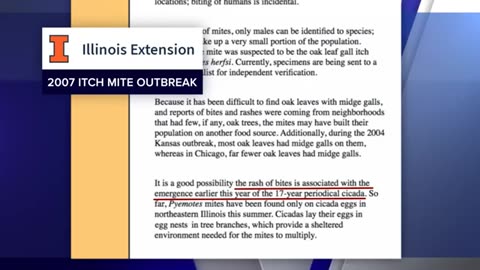 Mite bites may be tied to 17-year cicada, experts say