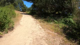 Lake Chabot''s Goldenrod Trail , Castro Valley Ca