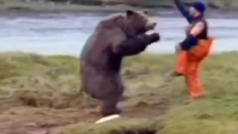 The Main Event | Brave Farmer Goes the Round with a Grizzley Bear in the Wild