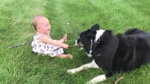 Cute DoG and babies are best friend 2021