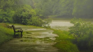 Relaxing Rain - 3hrs of Relaxing Sound of Nature