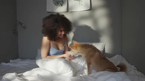 Dog and girl playing on the bed1