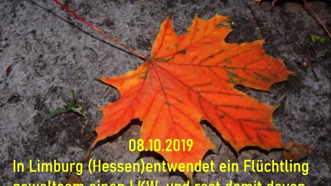 Deutscher Herbst 2019