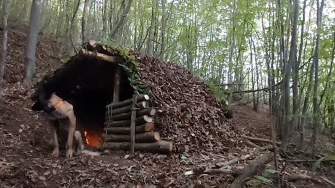 Viking House: Primitive Shelter Build with Hand Tools, Vikings, Wild Camping, Survival