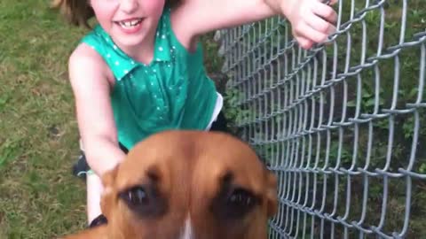 Devoted dog welcomes little girl home from school