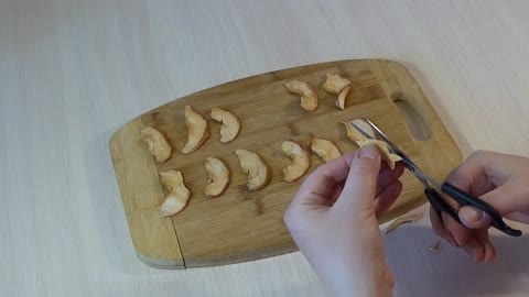How To Make a Fish Shaped Snack for a HAMSTER