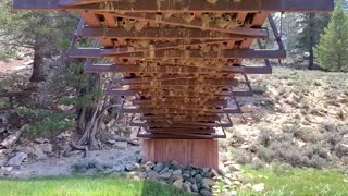 Swallows Feed Babies Under a Bridge