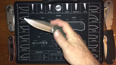 Buck Sprint Select, 840-1 flipper knife OMKR