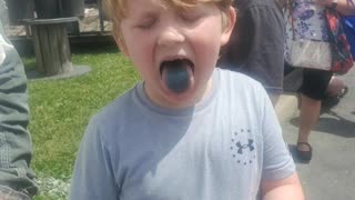 Blueberry festival