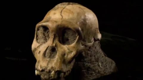 The oldest skull in the world is located in Jebel Irhoud, Morocco