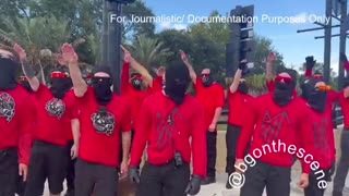 FEDS or ANTIFA? Masked People Shouting White Power