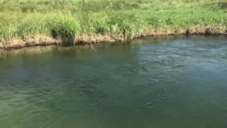 Trout fishing in Wyoming