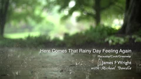 Here Comes That Rainy Day Feeling Again - James F Wright