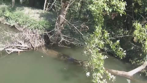 Flippin the Nolichucky River