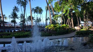 Morning tropical beauty, fountains, Hilton Hawaiian Village, Waikiki