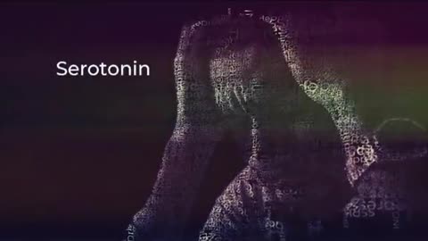 Serotonin & Zero In