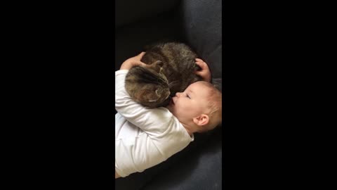 cute baby love with cat