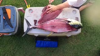 Tuna cleaning time lapse
